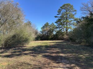 Property photo for land for sale in Cherokee County Texas
