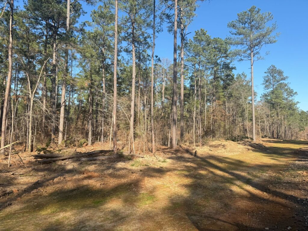 Property photo for land for sale in Lincoln County Louisiana