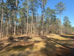 Property photo for land for sale in Lincoln County Louisiana