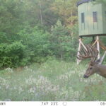 Property photo for land for sale in Adams County Wisconsin