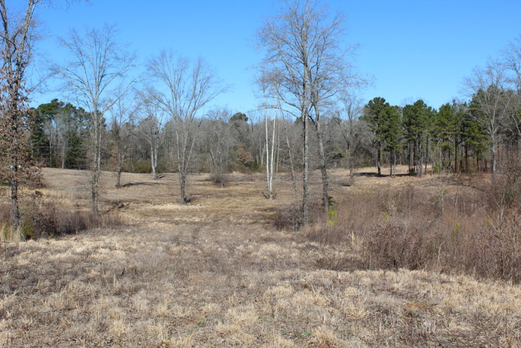 Property photo for land for sale in Bowie County Texas