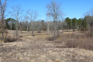 Property photo for land for sale in Bowie County Texas