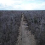 Property photo for land for sale in Allen County Louisiana