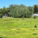 Property photo for land for sale in Park County Montana