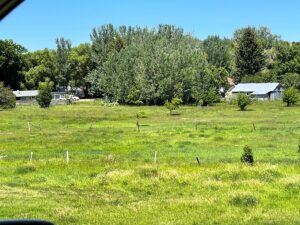 Property photo for land for sale in Park County Montana