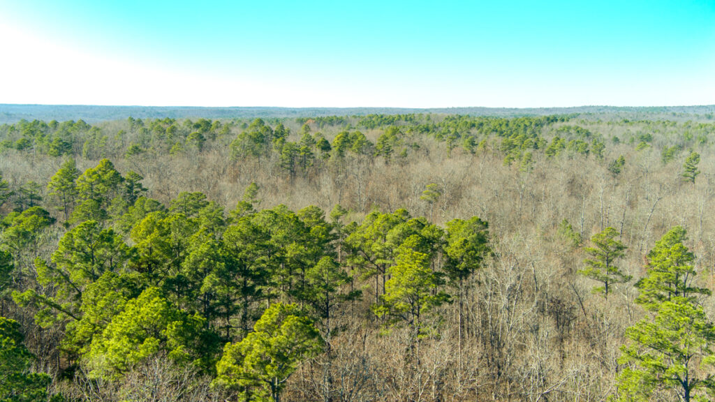 Property photo for land for sale in Dent County Missouri