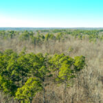 Property photo for land for sale in Dent County Missouri