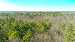 Property photo for land for sale in Dent County Missouri