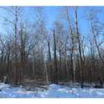 Property photo for land for sale in  County Minnesota