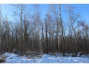 Property photo for land for sale in  County Minnesota