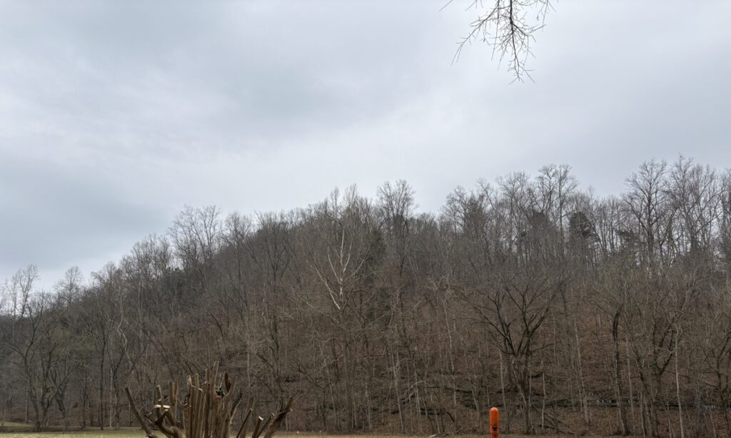 Property photo for land for sale in Cumberland County Kentucky