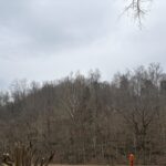 Property photo for land for sale in Cumberland County Kentucky