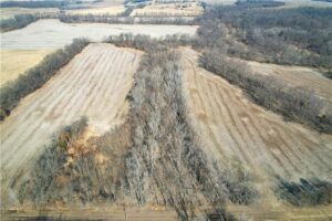 Property photo for land for sale in DeKalb County Missouri
