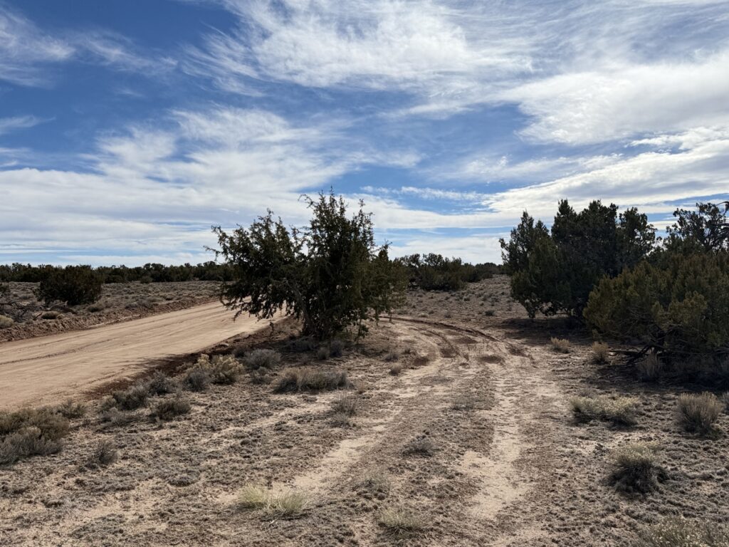 Property photo for land for sale in Apache County Arizona