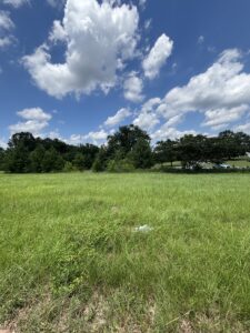 Property photo for land for sale in Pike County Alabama