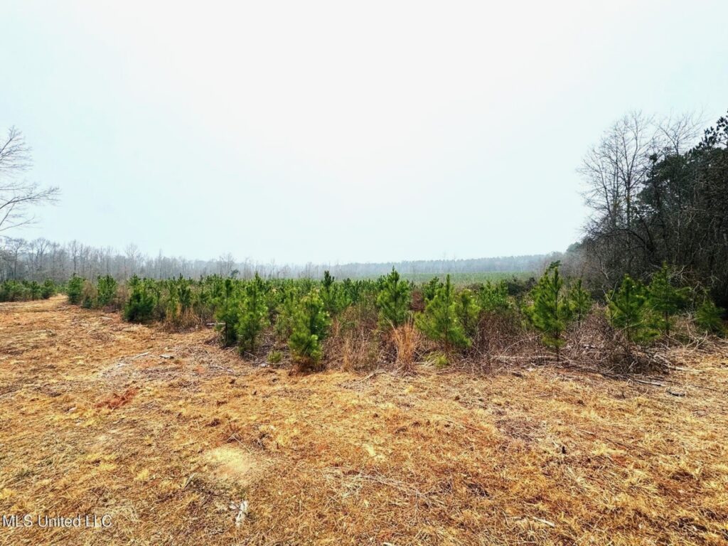 Property photo for land for sale in Walthall County Mississippi