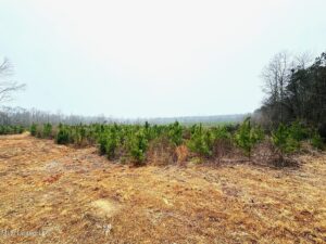 Property photo for land for sale in Walthall County Mississippi