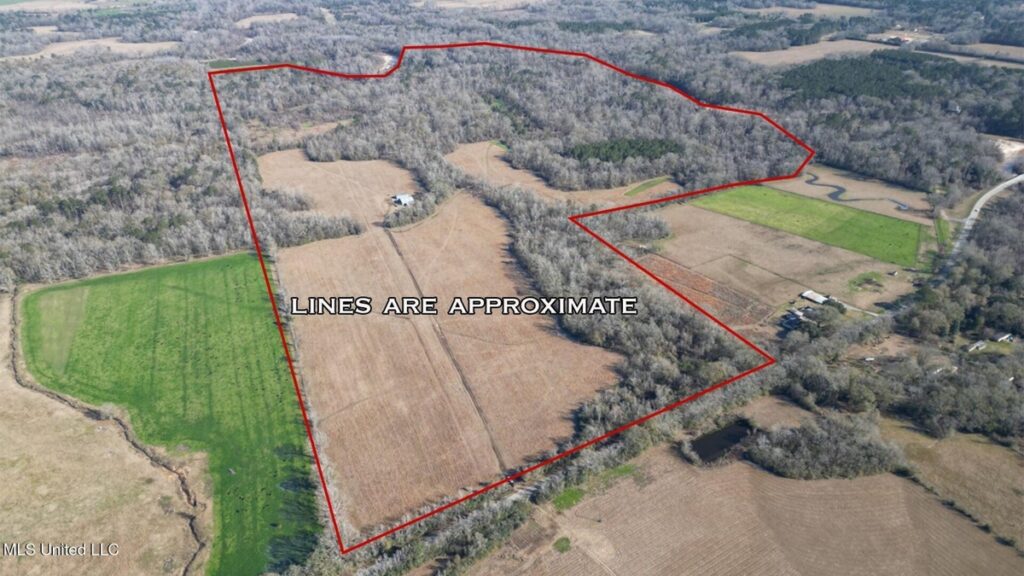 Property photo for land for sale in East Baton Rouge County Louisiana