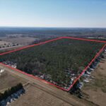 Property photo for land for sale in Cass County Texas