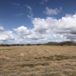 Property photo for land for sale in San Patricio County Texas