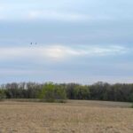 Property photo for land for sale in Clark County Missouri