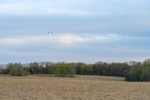 Property photo for land for sale in Clark County Missouri