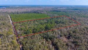 Property photo for land for sale in Gilchrist County Florida