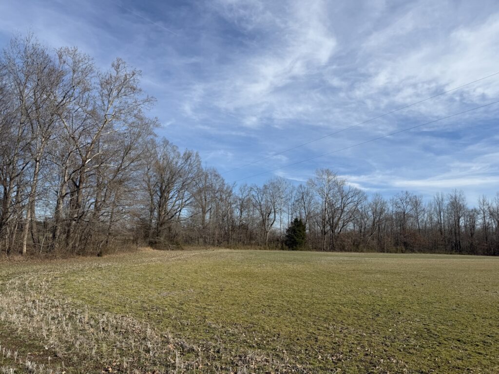 Property photo for land for sale in McNairy County Tennessee
