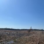 Property photo for land for sale in Webster County Louisiana