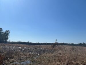 Property photo for land for sale in Webster County Louisiana