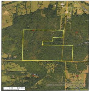 Property photo for land for sale in Scott County Arkansas