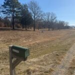 Property photo for land for sale in Pushmataha County Oklahoma