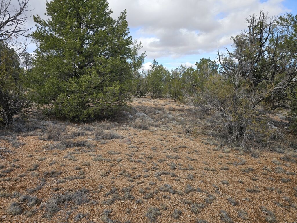 Property photo for land for sale in Yavapai County Arizona