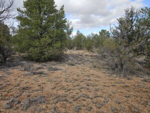 Property photo for land for sale in Yavapai County Arizona