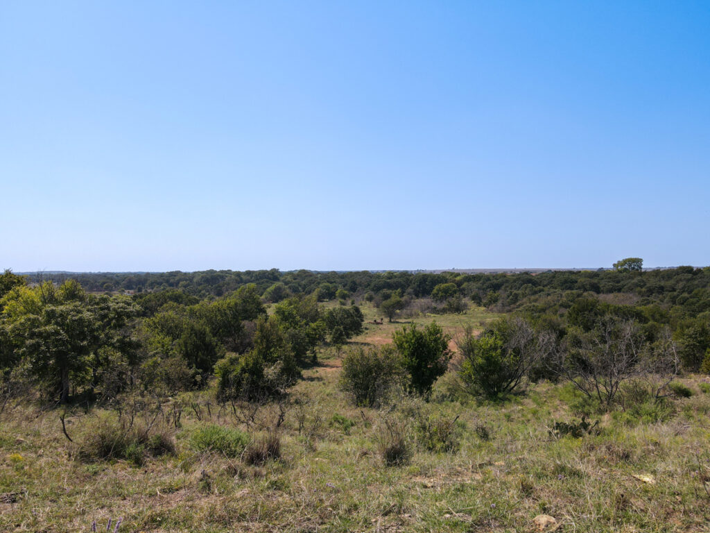 Property photo for land for sale in Montague County Texas