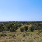 Property photo for land for sale in Montague County Texas