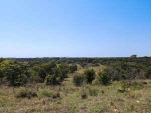 Property photo for land for sale in Montague County Texas