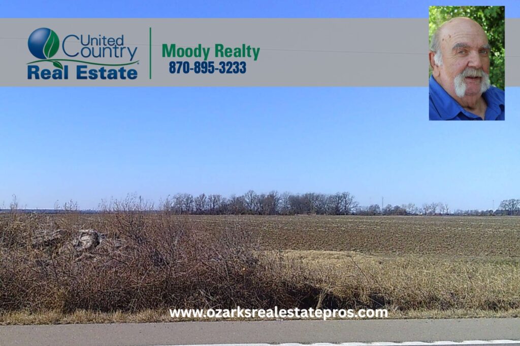 Property photo for land for sale in Mississippi County Arkansas