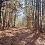 Property photo for land for sale in Smith County Texas