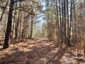 Property photo for land for sale in Smith County Texas