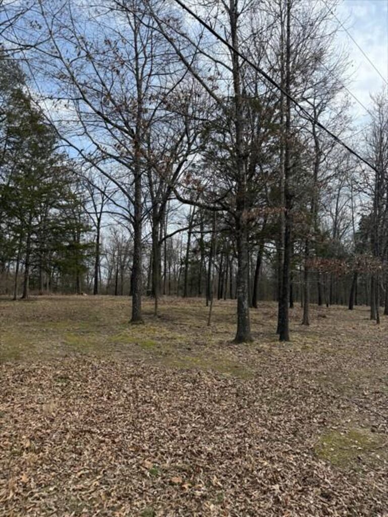 Property photo for land for sale in Boone County Arkansas