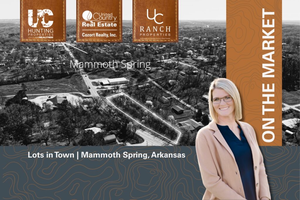 Property photo for land for sale in Fulton County Arkansas