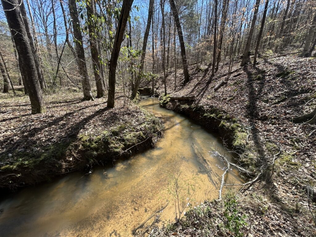 Property photo for land for sale in Bibb County Alabama