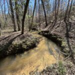 Property photo for land for sale in Bibb County Alabama