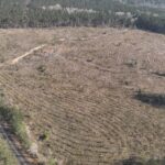 Property photo for land for sale in Union County Arkansas