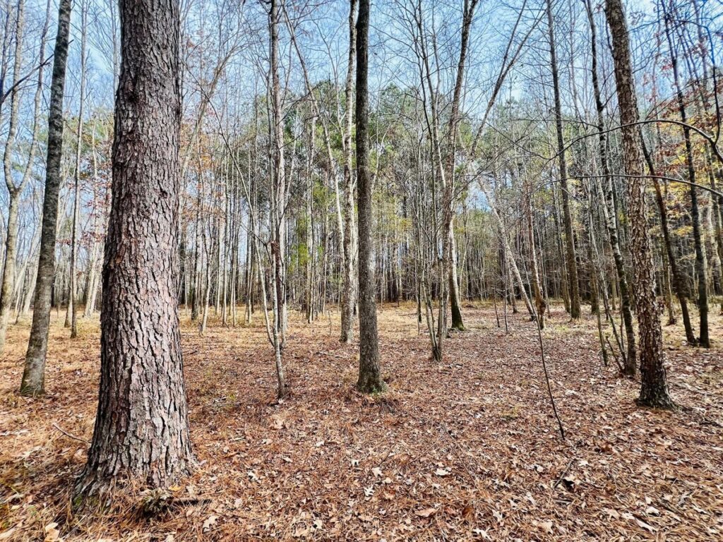 09f44f83-72ae-4023-8df5-48730ba0111c