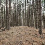 Property photo for land for sale in Floyd County Virginia