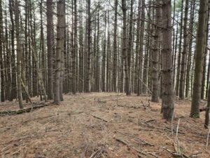 Property photo for land for sale in Floyd County Virginia