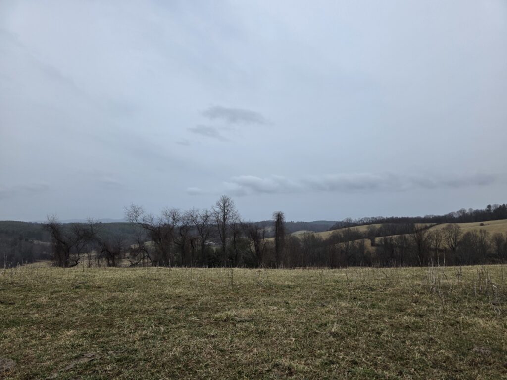 0b9ad0e8-fd4f-40b7-8038-76f60901ff2c