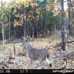 Property photo for land for sale in Sharp County Arkansas